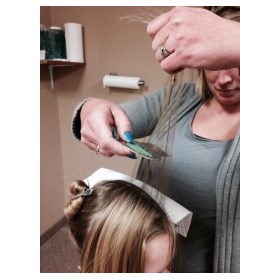 Natural Lice Treatments: Slug Bug Lice Removal